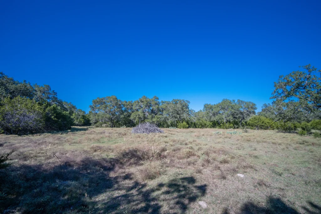 Native grass clearing ringed by oaks on Stiller Bach South